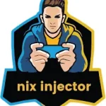 Nix Injector